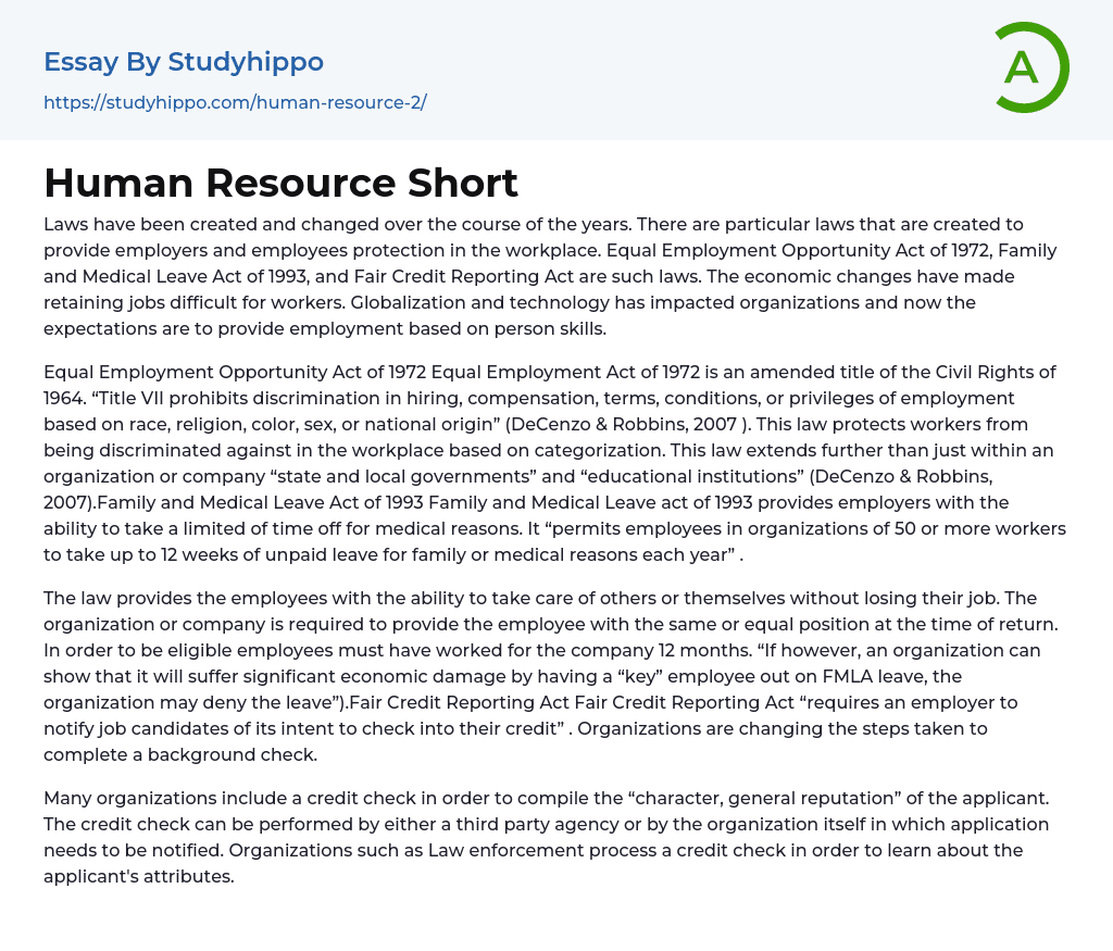Human Resource Short Essay Example