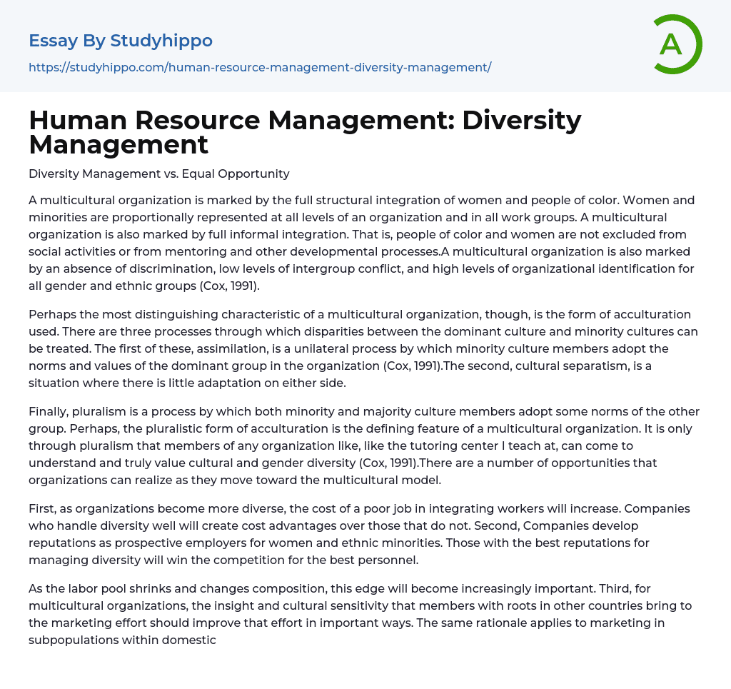 Human Resource Management: Diversity Management Essay Example