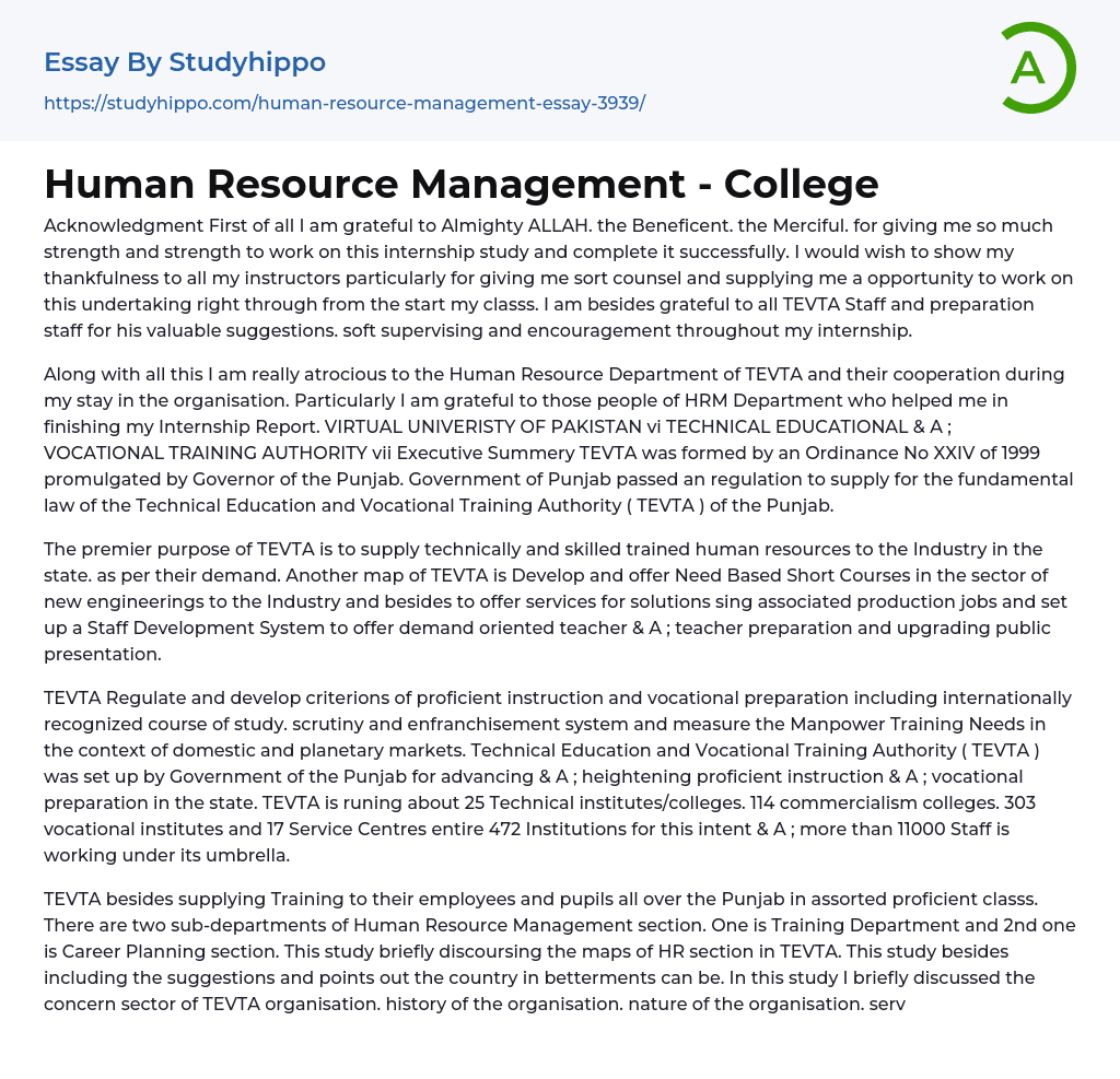 Human Resource Management – College Essay Example