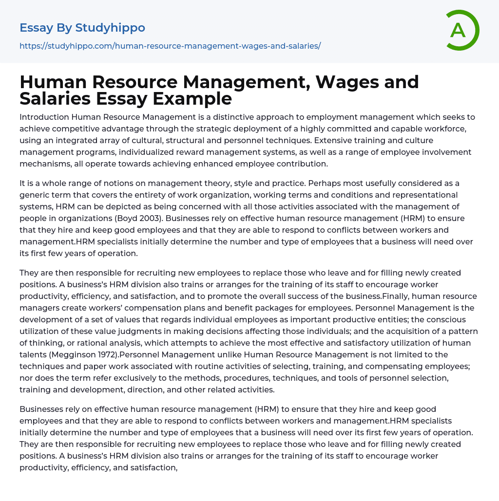 Human Resource Management, Wages and Salaries Essay Example