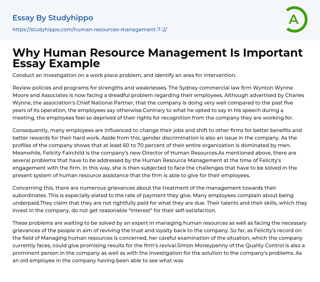 Why Human Resource Management Is Important Essay Example