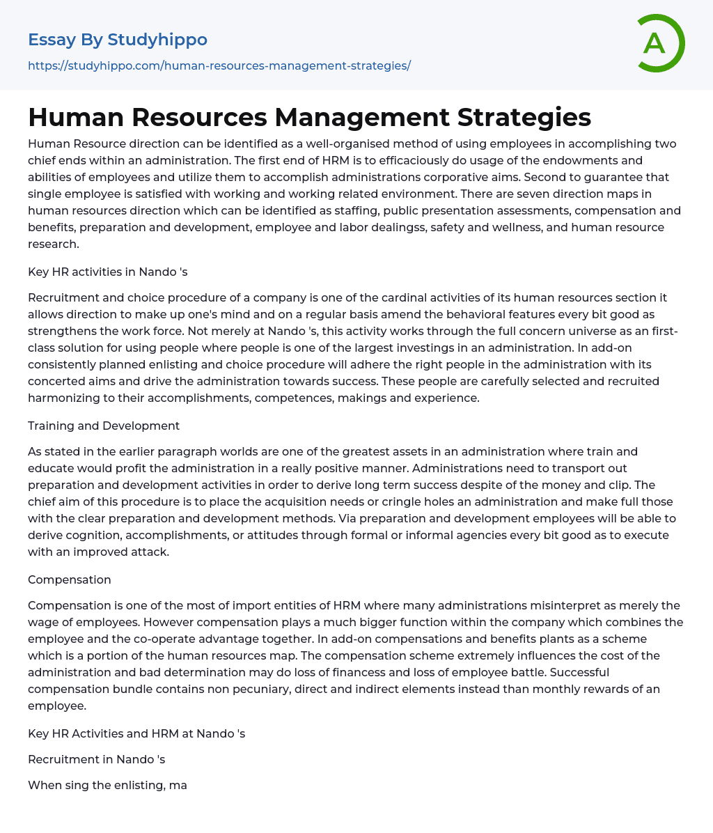Human Resources Management Strategies Essay Example