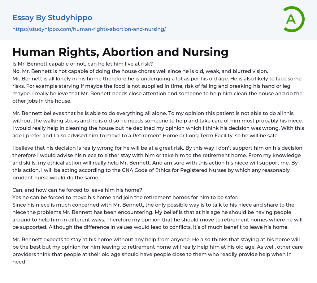 Human Rights, Abortion and Nursing Essay Example
