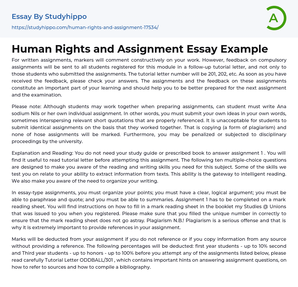 Human Rights and Assignment Essay Example