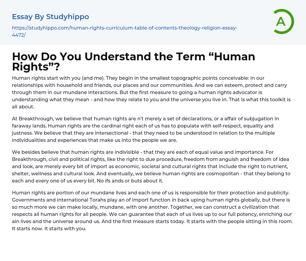 How Do You Understand the Term “Human Rights”? Essay Example