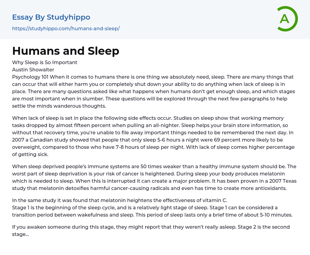 Humans and Sleep Essay Example