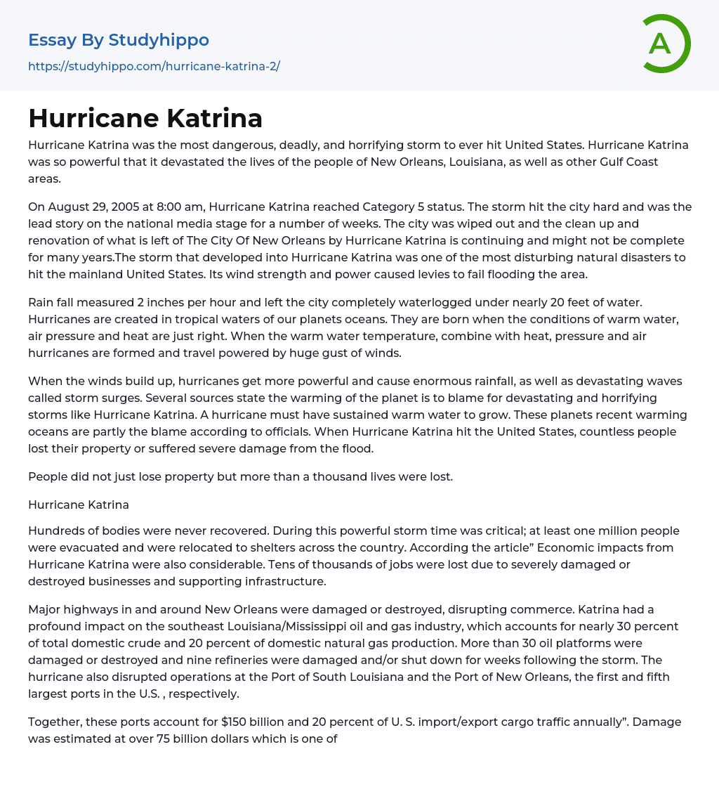 1 page essay on hurricane katrina