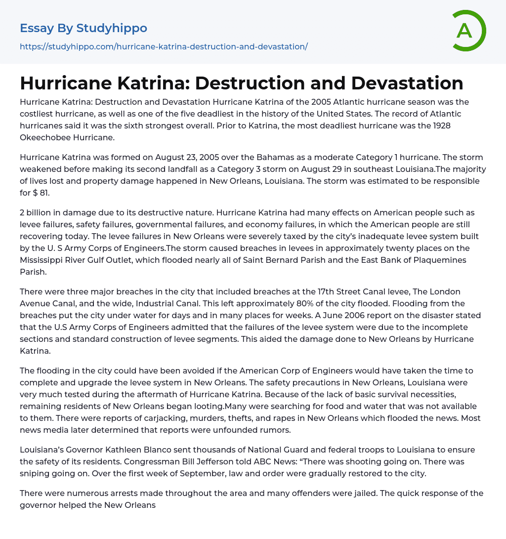 Hurricane Katrina: Destruction and Devastation Essay Example