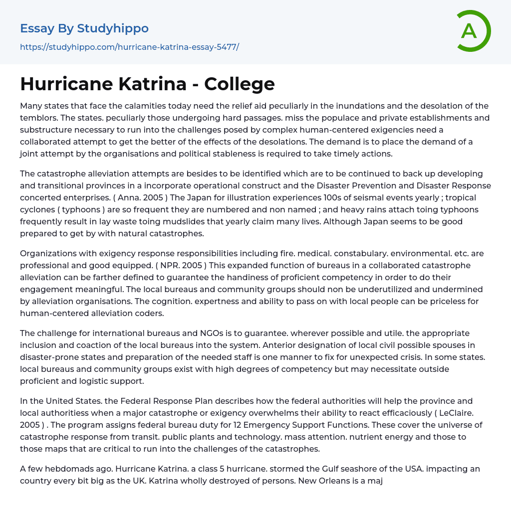 Hurricane Katrina – College Essay Example