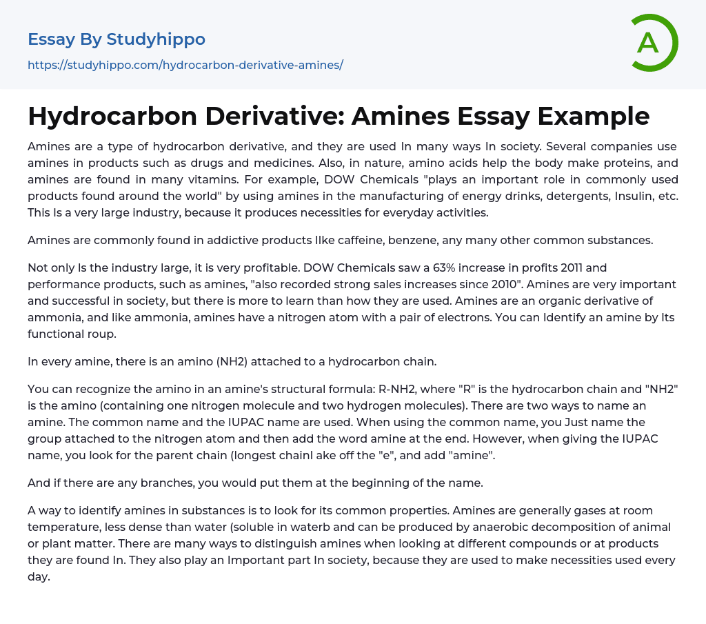 Hydrocarbon Derivative: Amines Essay Example