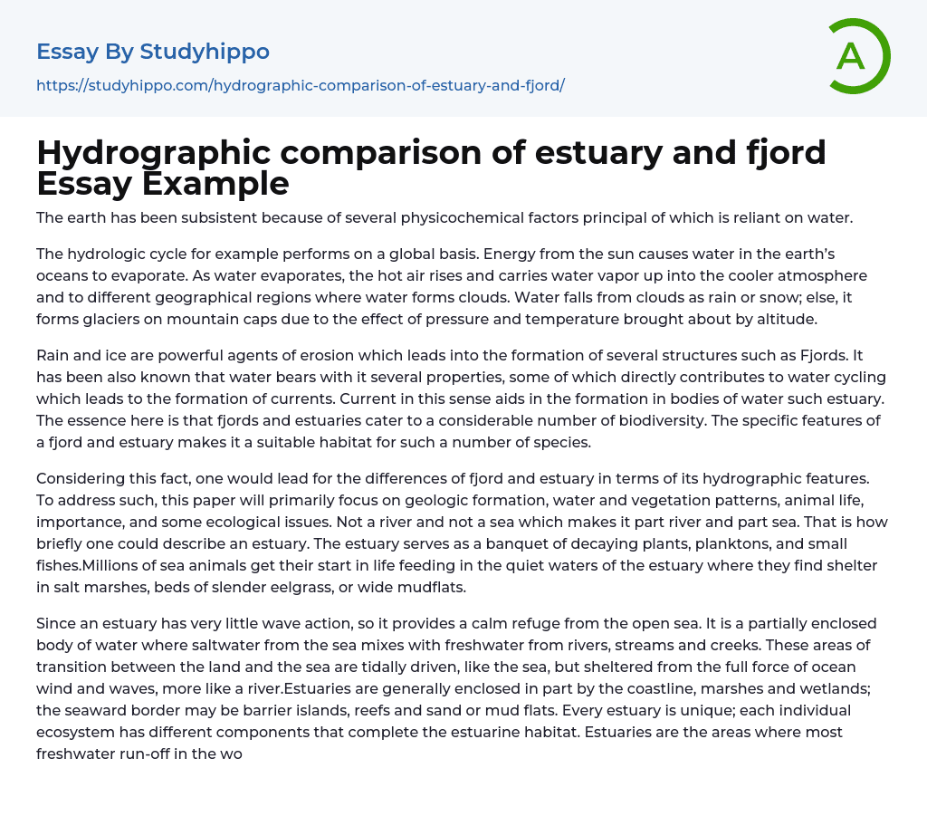 Hydrographic comparison of estuary and fjord Essay Example