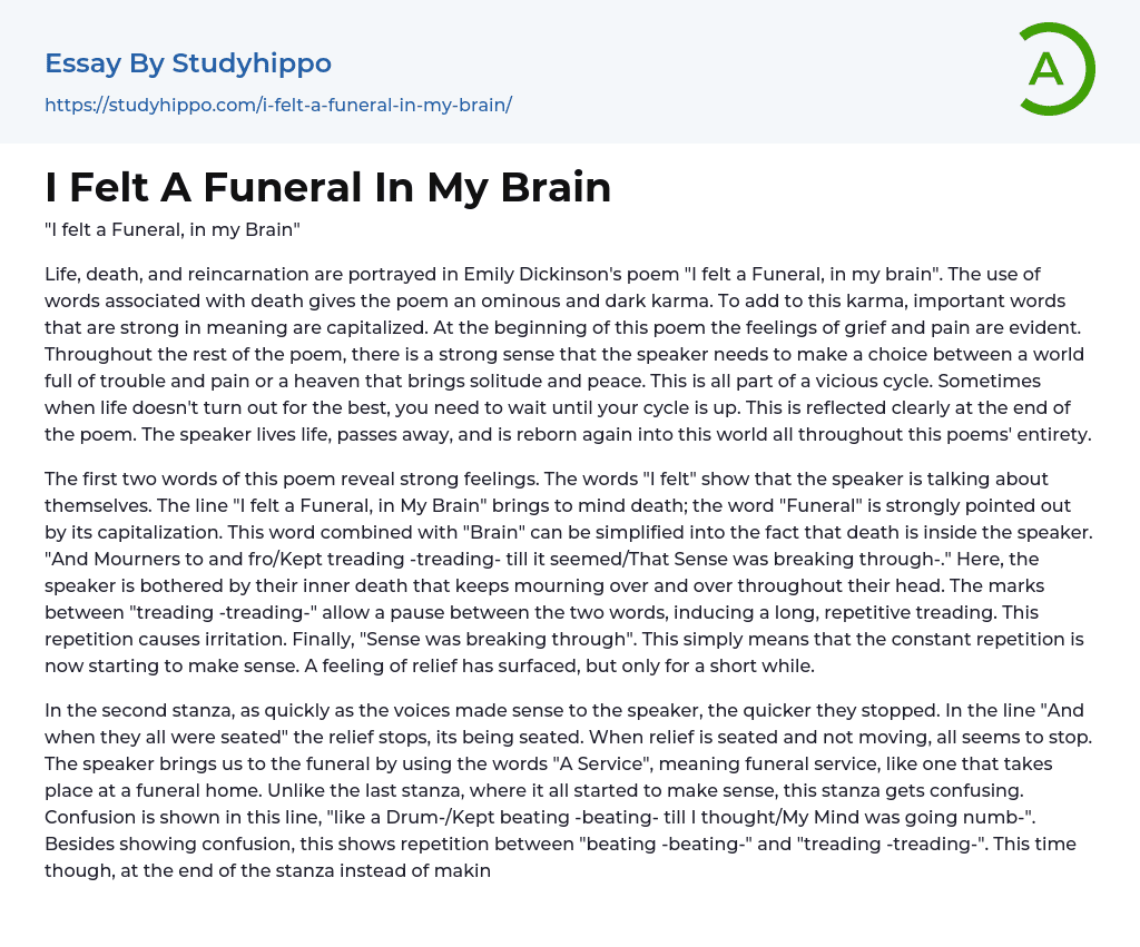 I Felt A Funeral In My Brain Essay Example