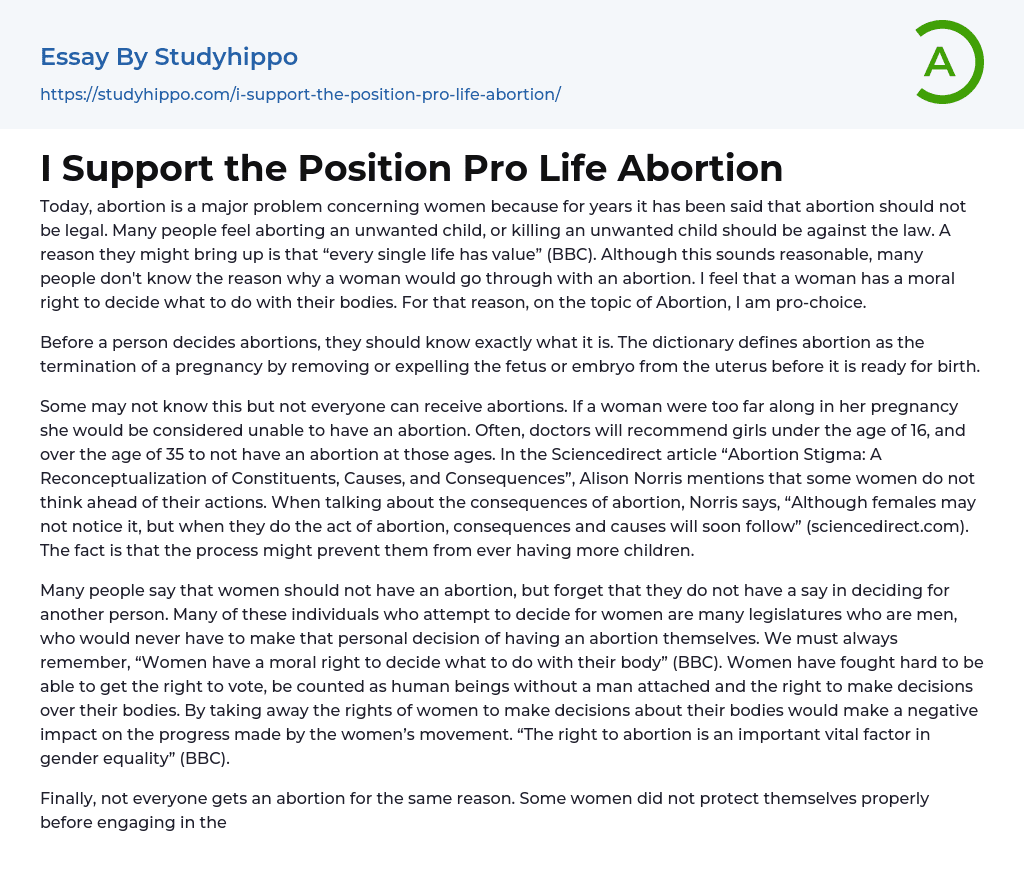 I Support the Position Pro Life Abortion Essay Example