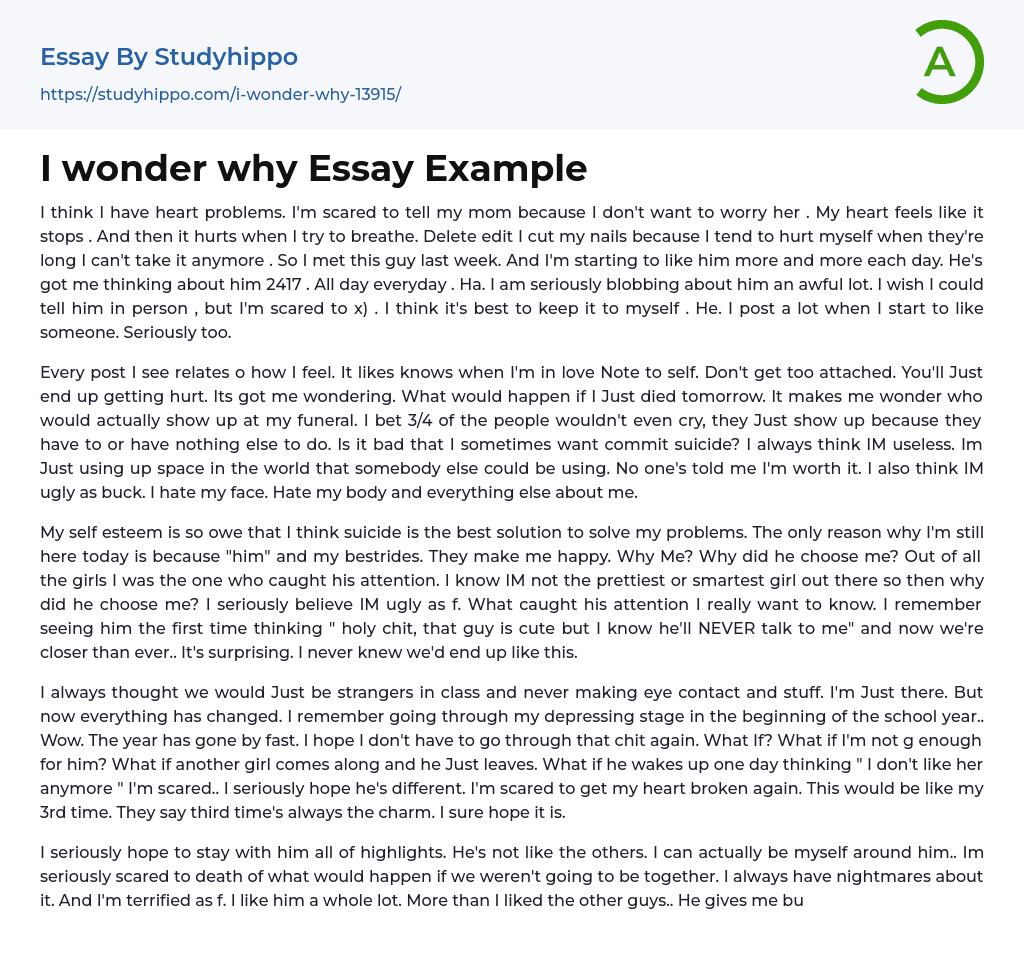 I wonder why Essay Example