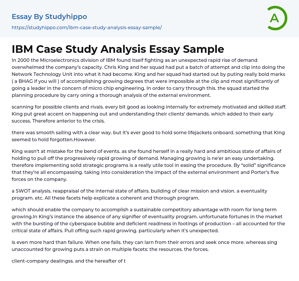 IBM Case Study Analysis Essay Sample
