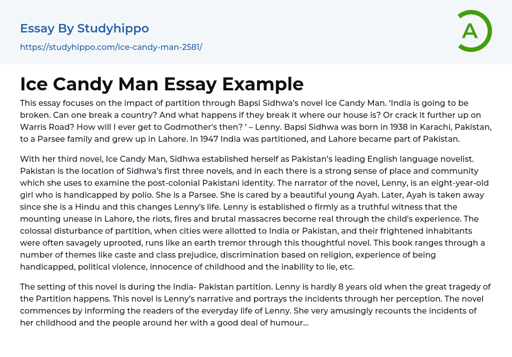 Ice Candy Man Essay Example