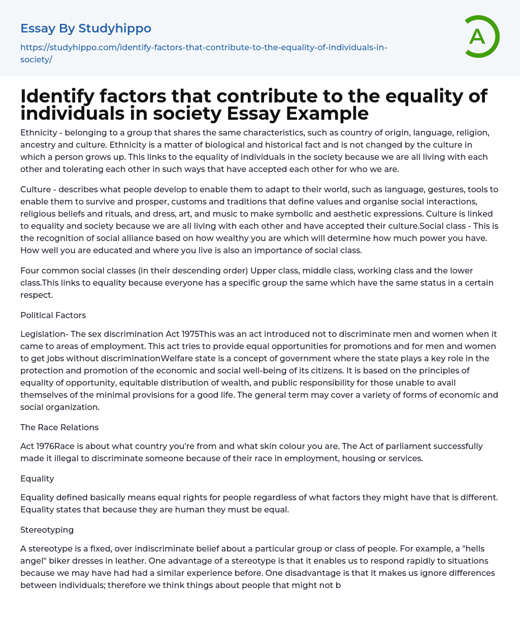 Identify factors that contribute to the equality of individuals in society Essay Example