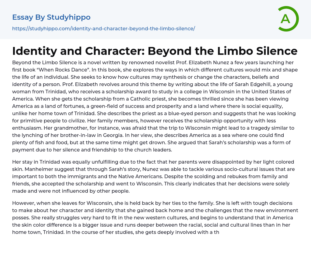 Identity and Character: Beyond the Limbo Silence Essay Example