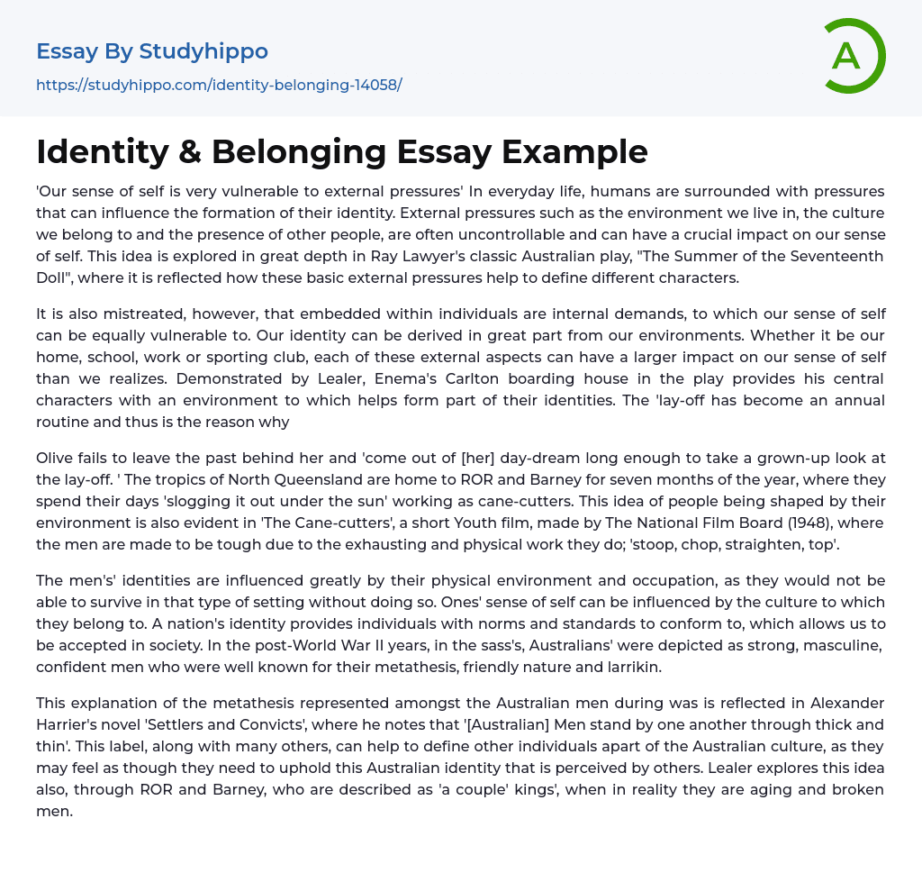 Identity & Belonging Essay Example
