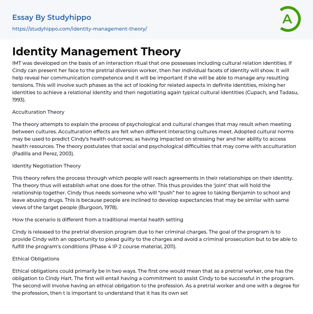 Identity Management Theory Essay Example