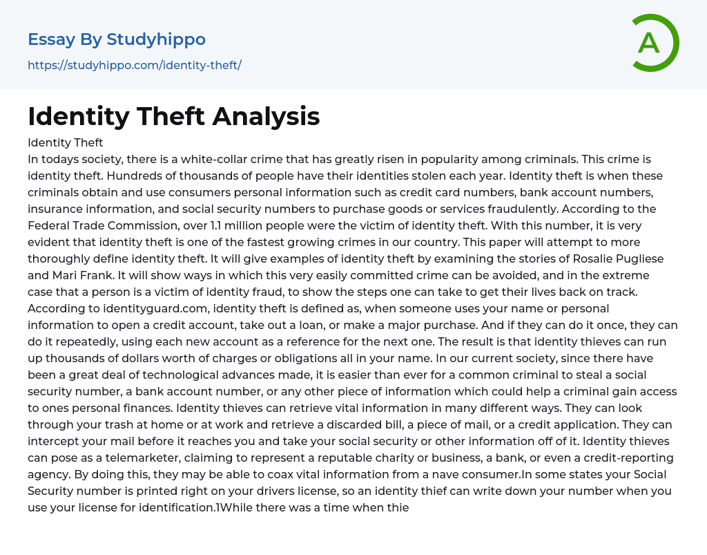 Identity Theft Analysis Essay Example