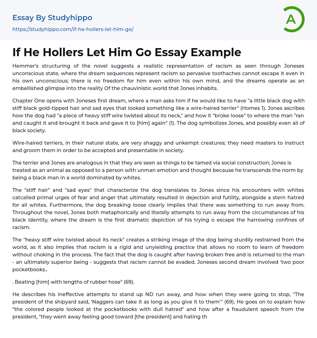 If He Hollers Let Him Go Essay Example