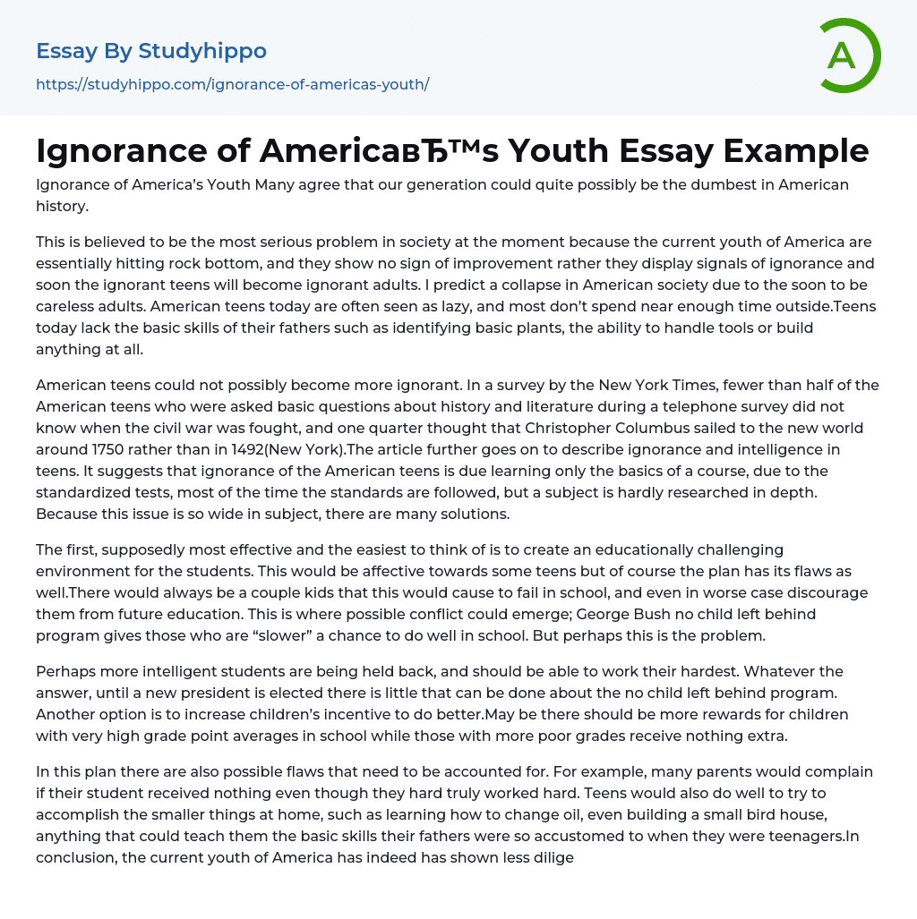 Ignorance of America’s Youth Essay Example