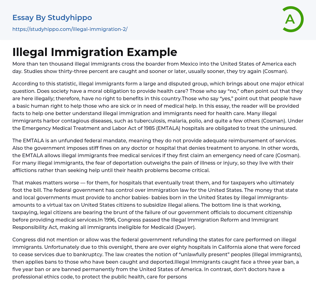 Illegal Immigration Example Essay Example