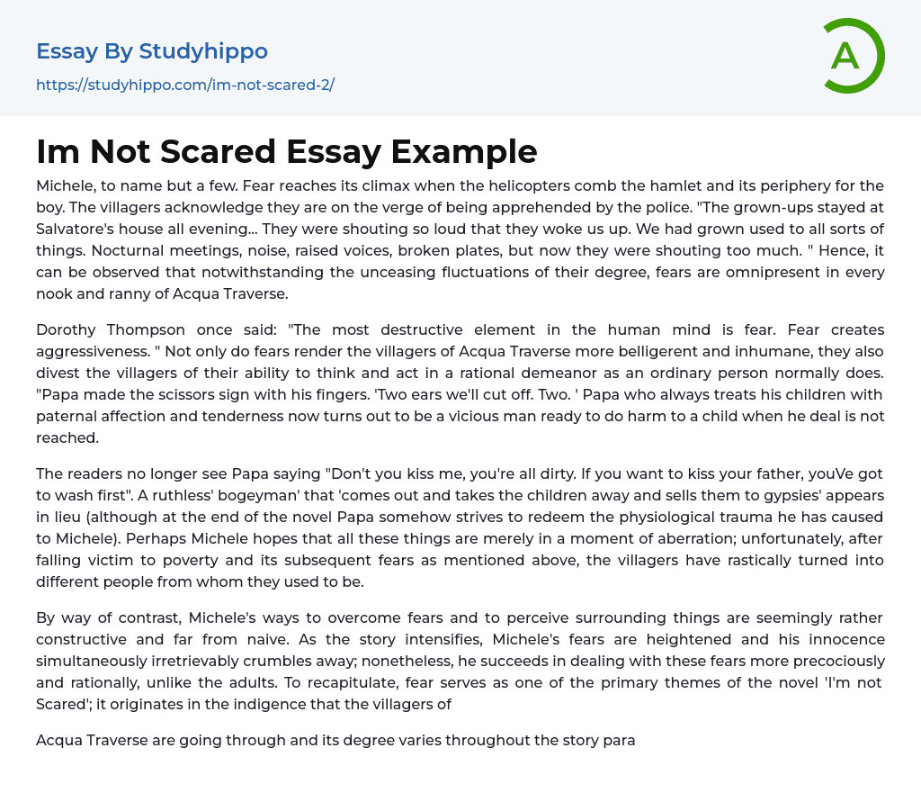 Im Not Scared Essay Example