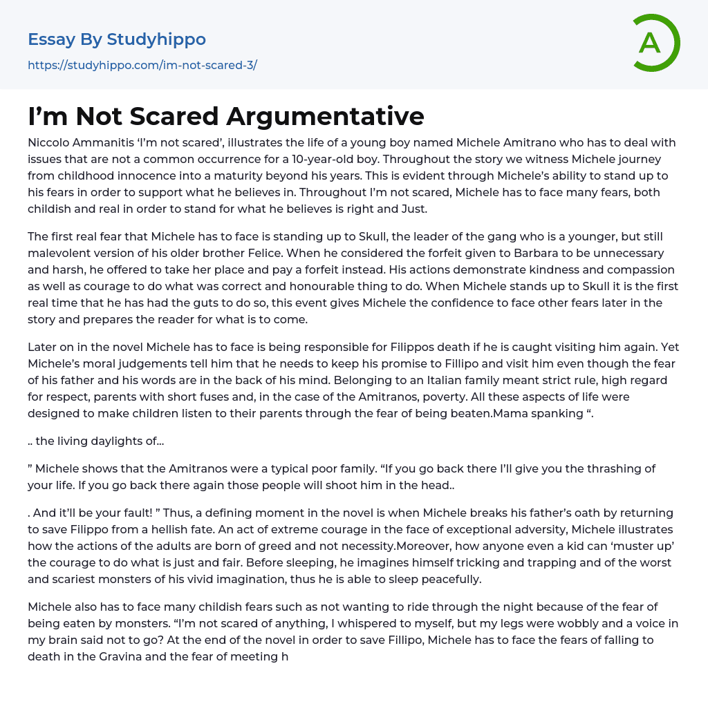 I’m Not Scared Argumentative Essay Example