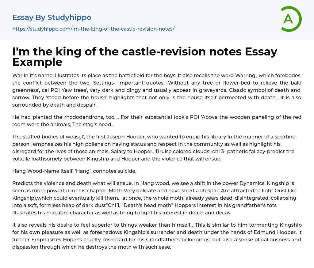 I’m the king of the castle-revision notes Essay Example