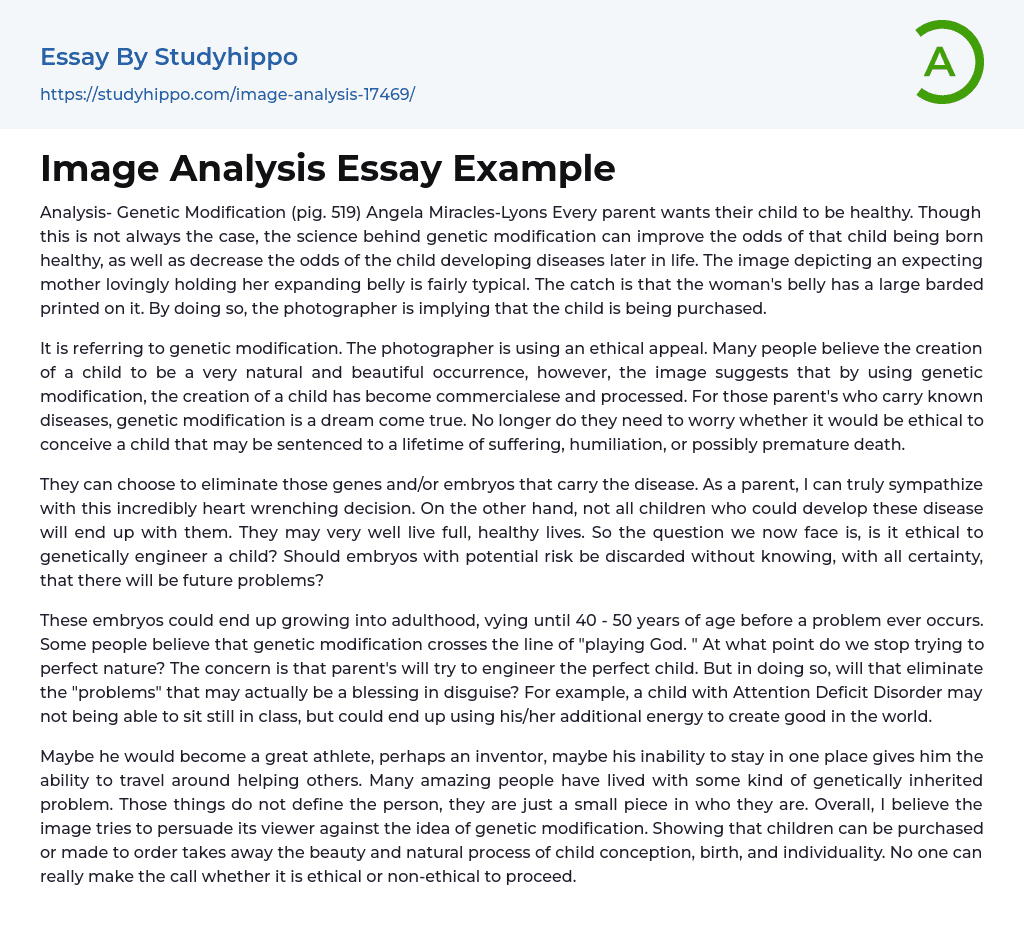 Image Analysis Essay Example