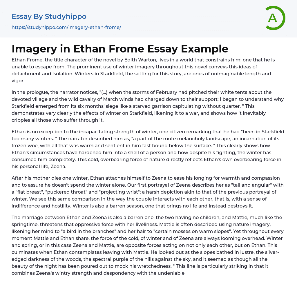 Imagery in Ethan Frome Essay Example