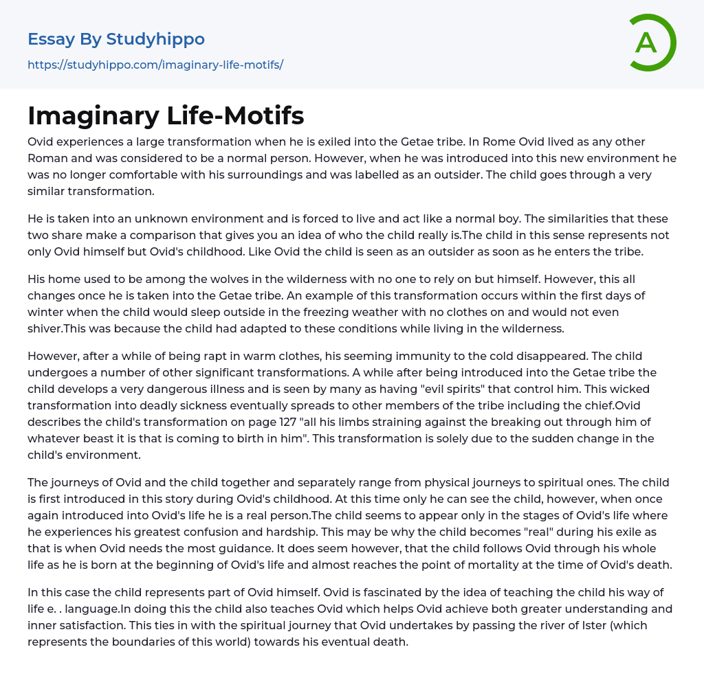 Imaginary Life-Motifs Essay Example
