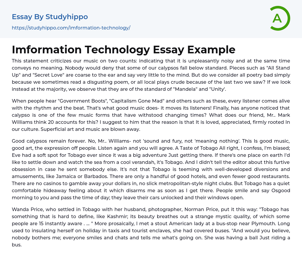 Imformation Technology Essay Example