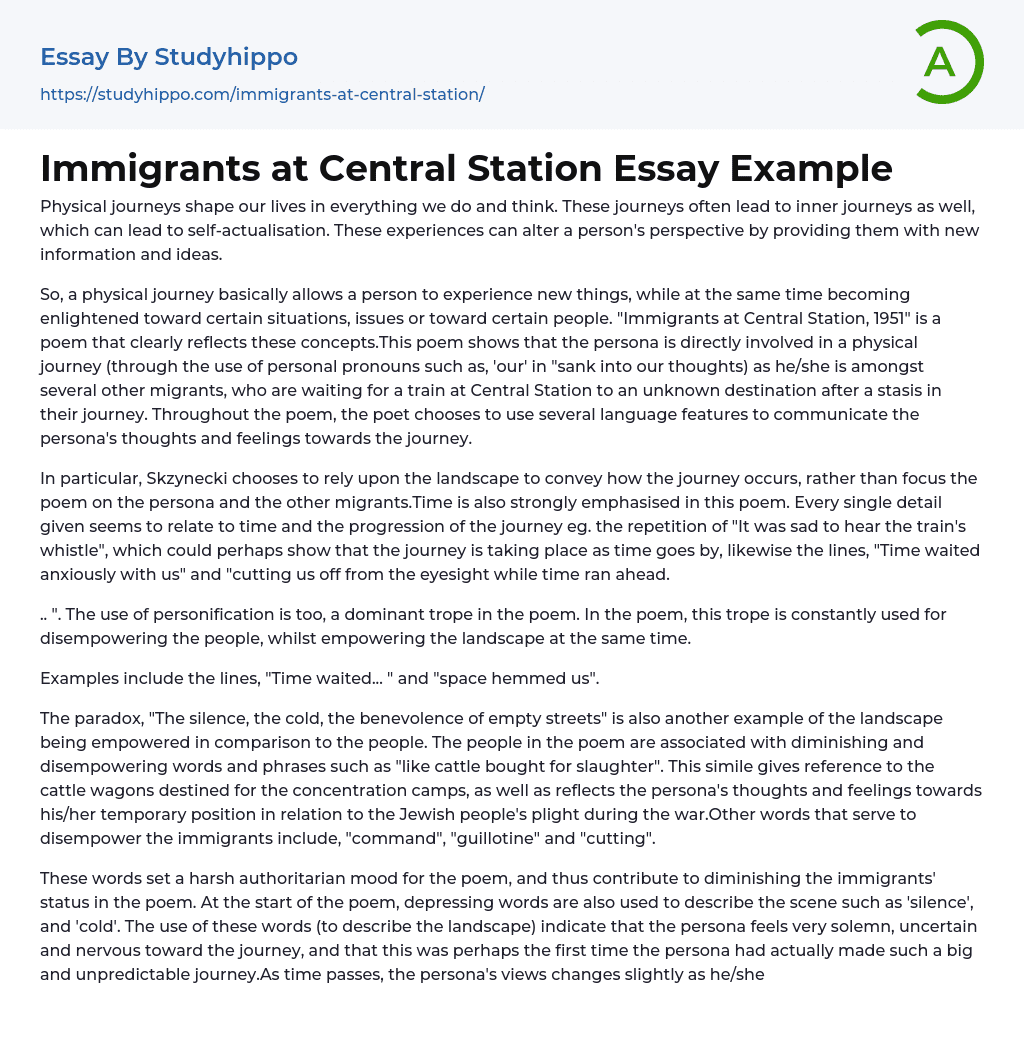 Immigrants at Central Station Essay Example