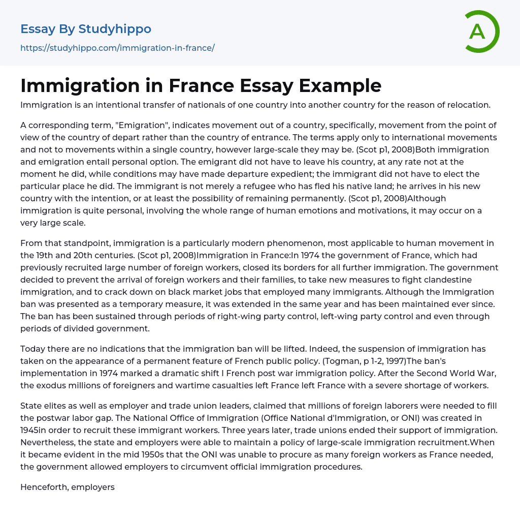Immigration in France Essay Example