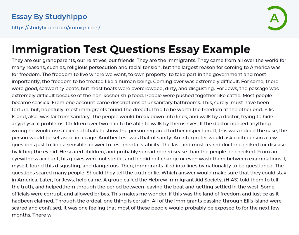 Immigration Test Questions Essay Example