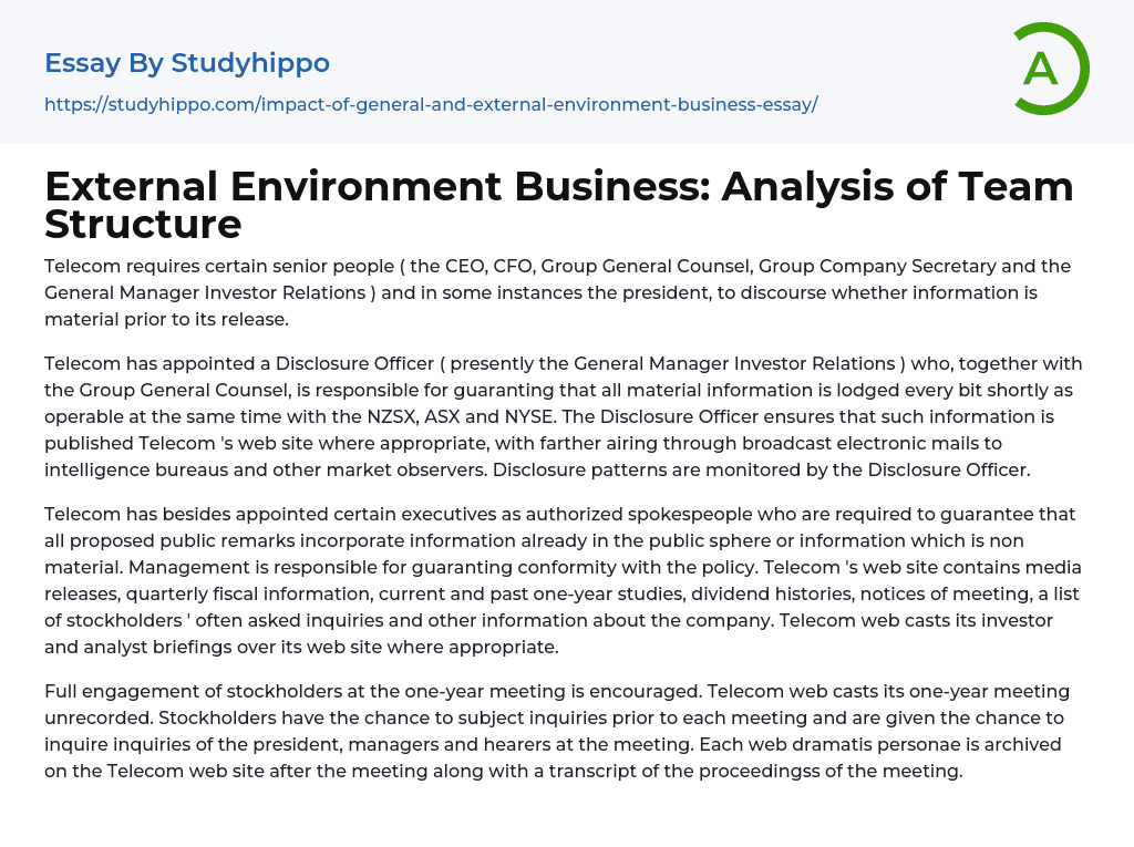 External Environment Business: Analysis of Team Structure Essay Example