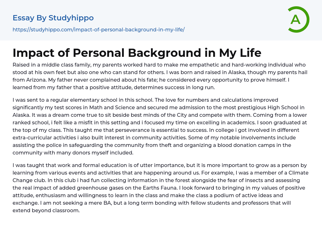 Impact of Personal Background in My Life Essay Example