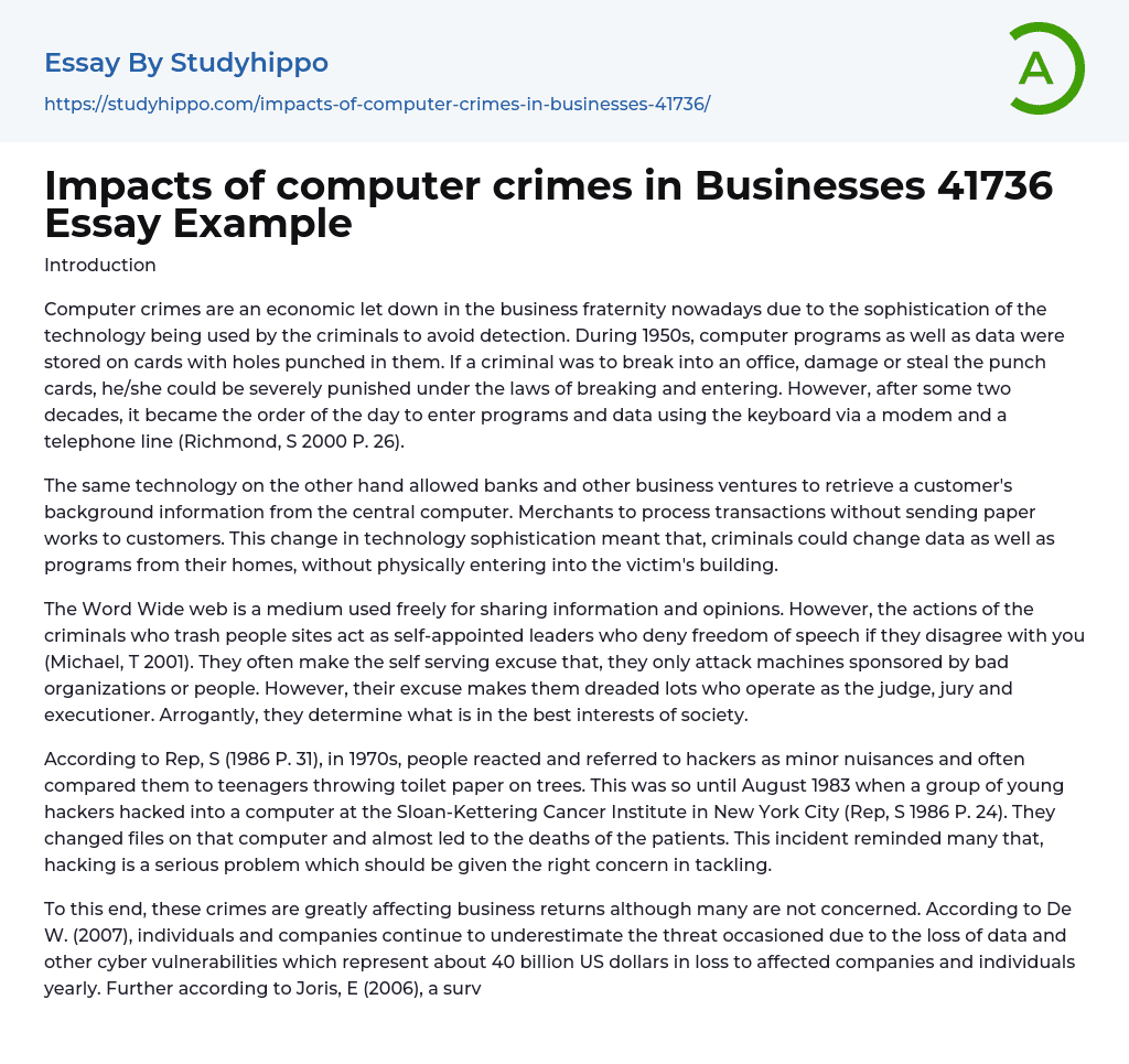 essay about computer crimes