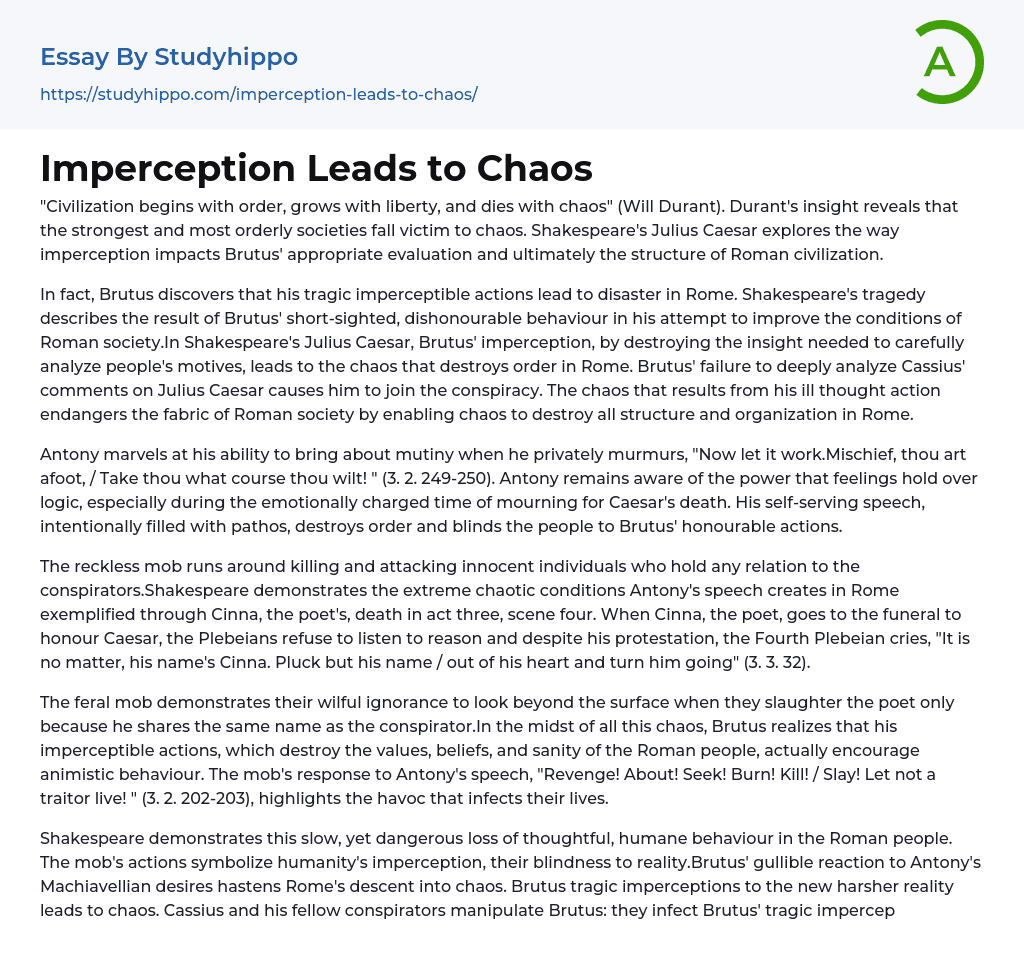 Imperception Leads to Chaos Essay Example