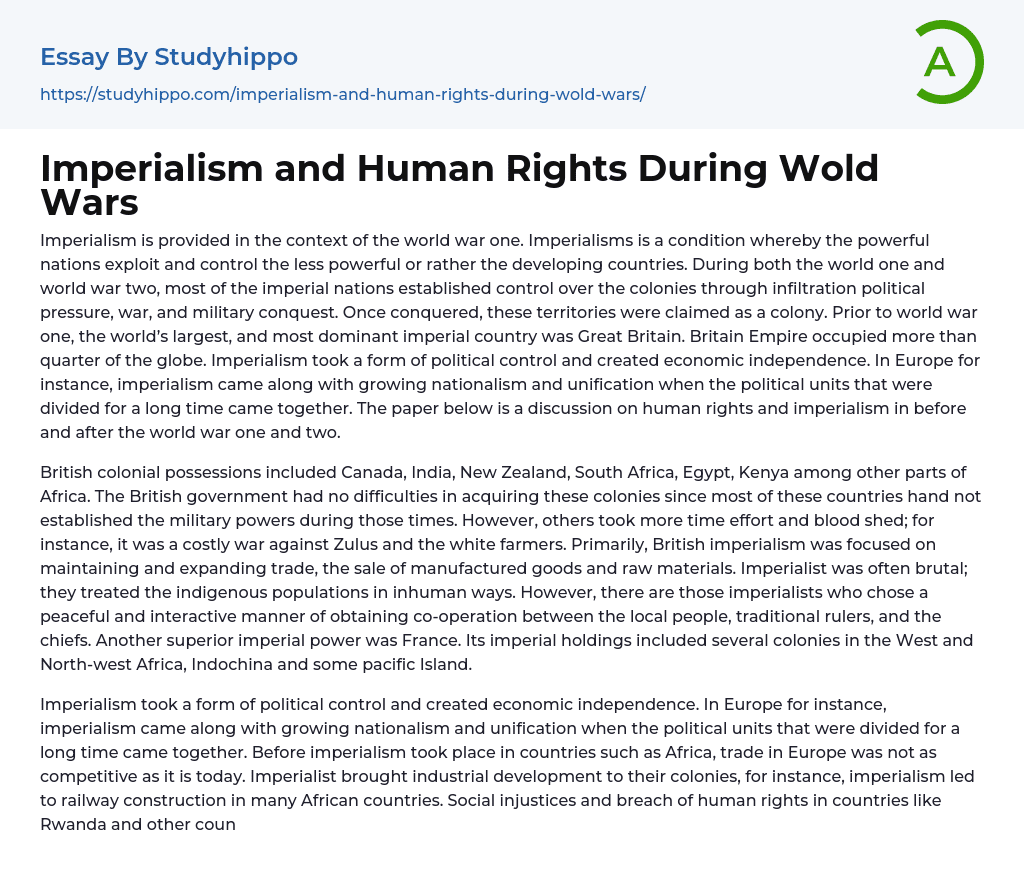 Imperialism and Human Rights During Wold Wars Essay Example