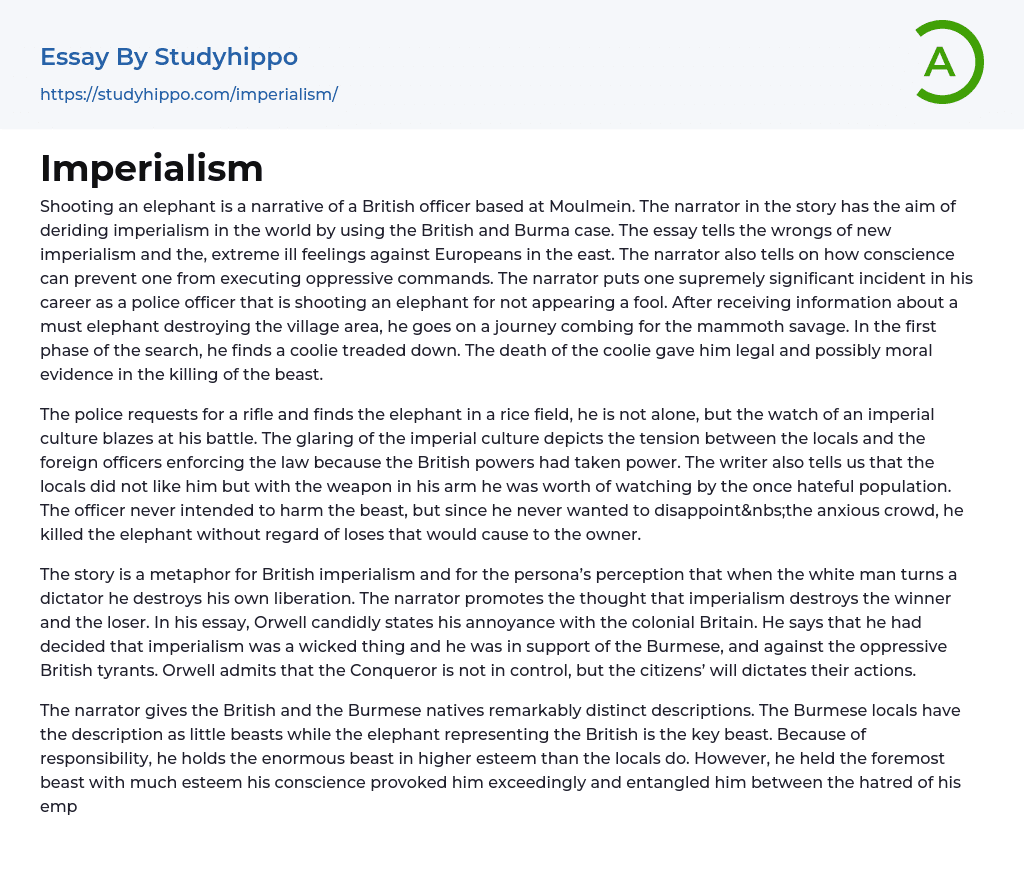 Imperialism Essay Example