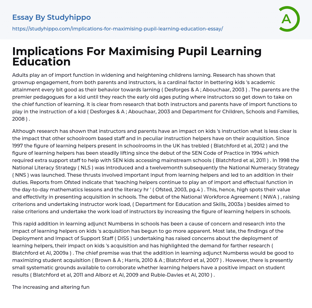 Implications For Maximising Pupil Learning Education Essay Example