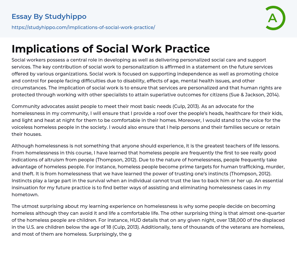 Implications of Social Work Practice Essay Example