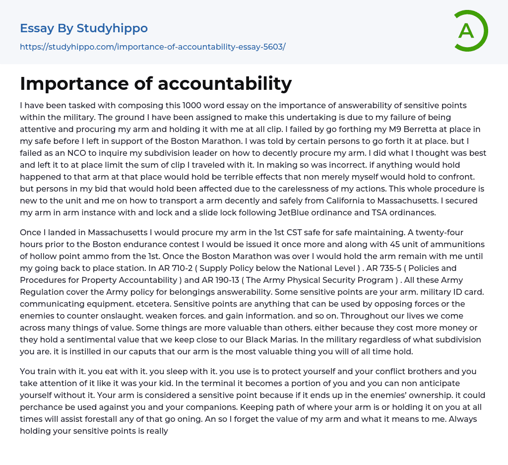 Importance of accountability Essay Example