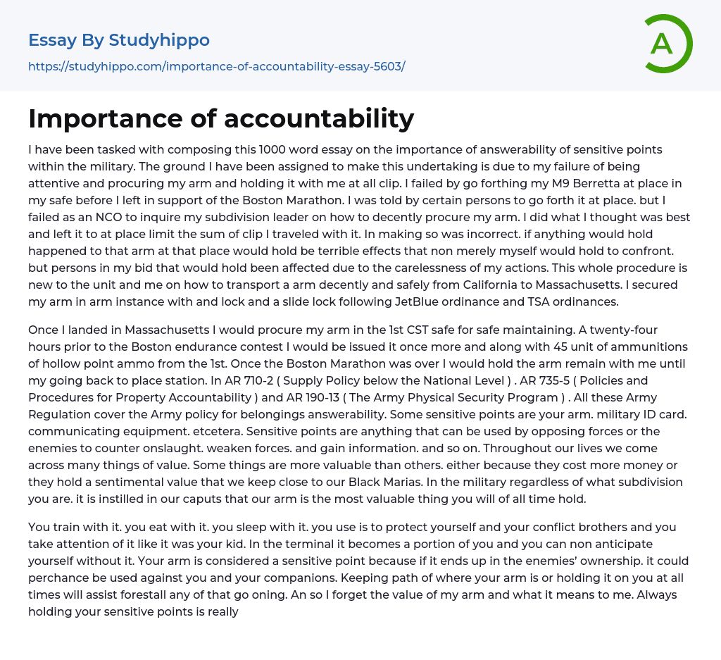 public accountability essay