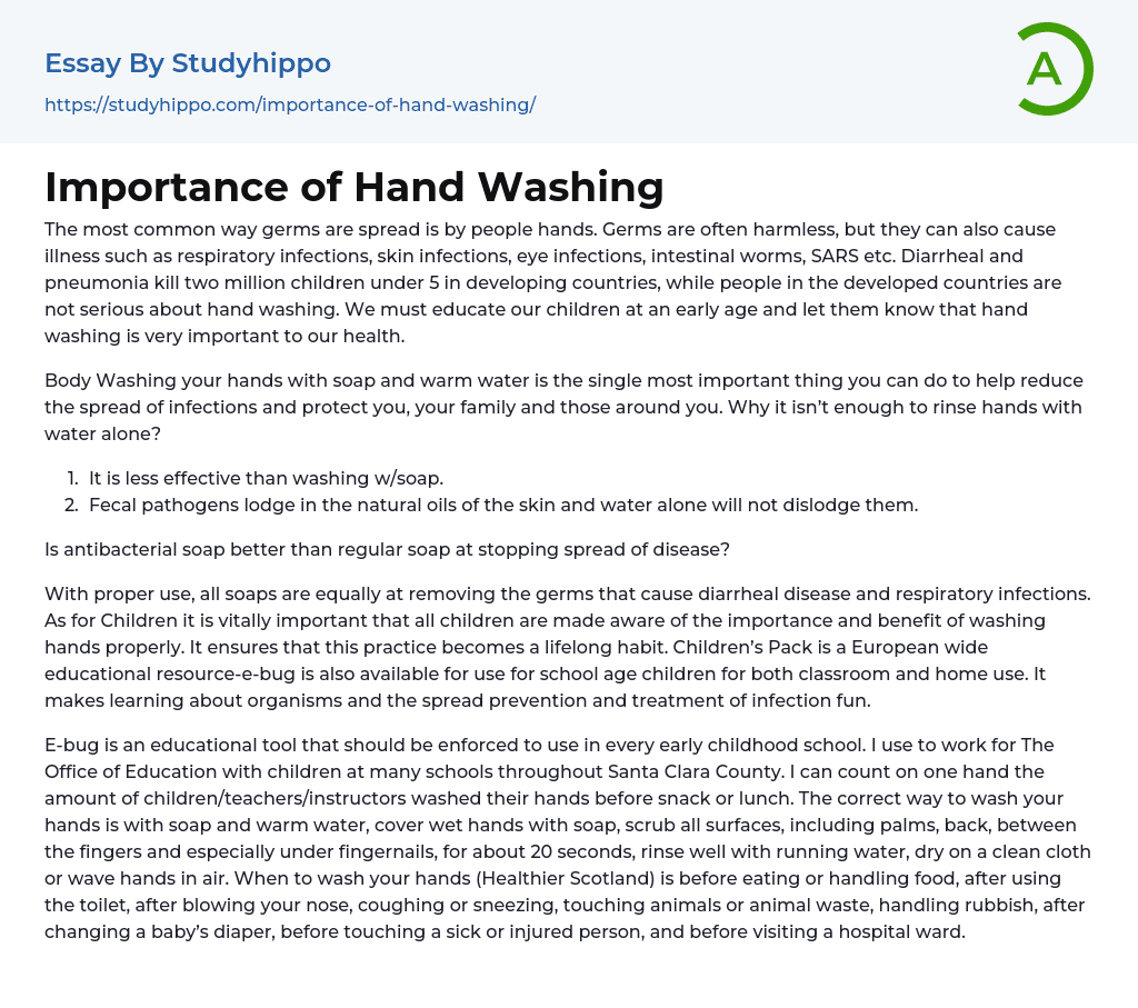 Importance of Hand Washing Essay Example