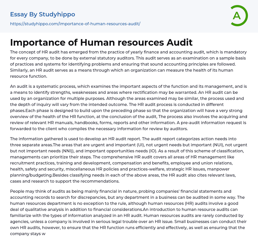 Importance of Human resources Audit Essay Example